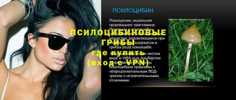 как найти закладки  Купино  Псилоцибиновые грибы прущие грибы 